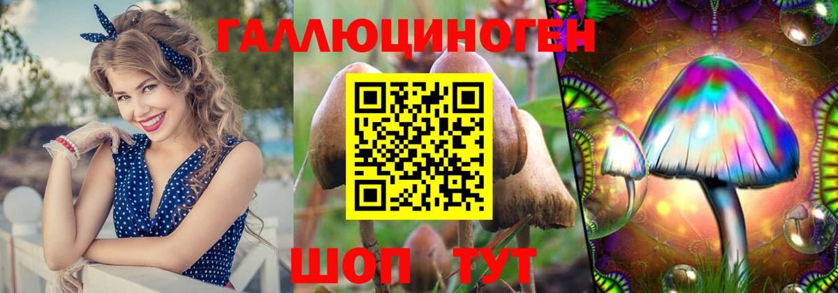 дарнет шоп  Вход с VPN  Ростов Великий  Псилоцибиновые грибы мухоморы 