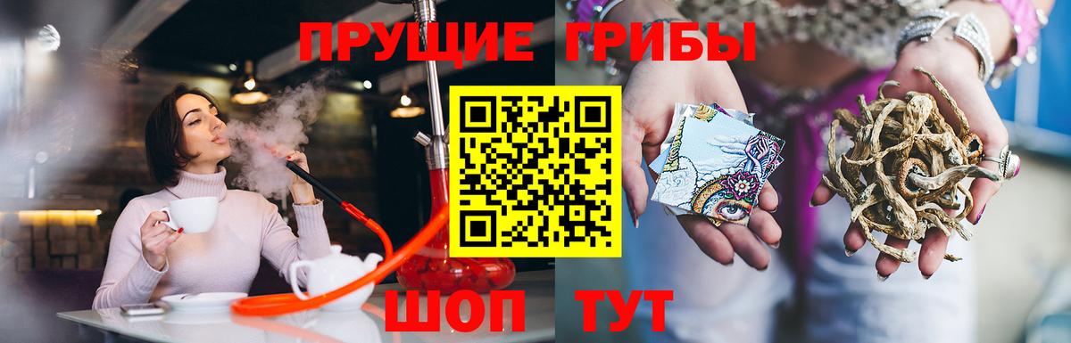 Псилоцибиновые грибы MAGIC MUSHROOMS Ростов Великий
